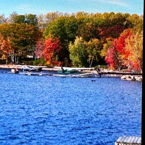 HAPPY FALL FROM BEAUTIFUL BOSTON & MAINE!! The color of the leaves are stunning! - Picture 6 of 17